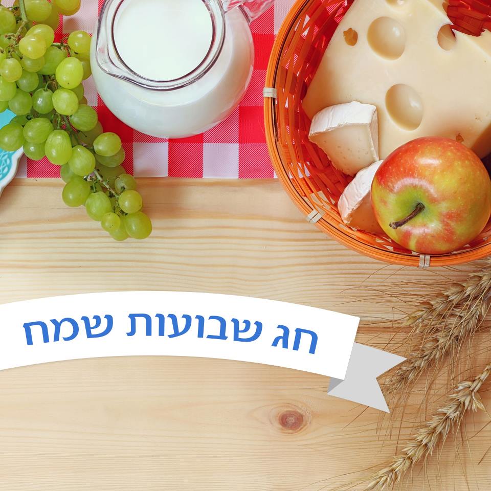 צוות אלדרור בעבודת סנפלינג על חזית בניין גבוה
